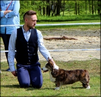 bagerafaworytkacontroversia