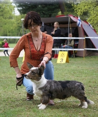 borisguerrieroblueatfest