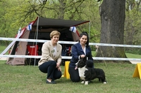 dreamcardisnevergiveup