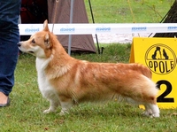 zabajonezbombonierki